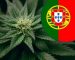 buy weed online Portugal